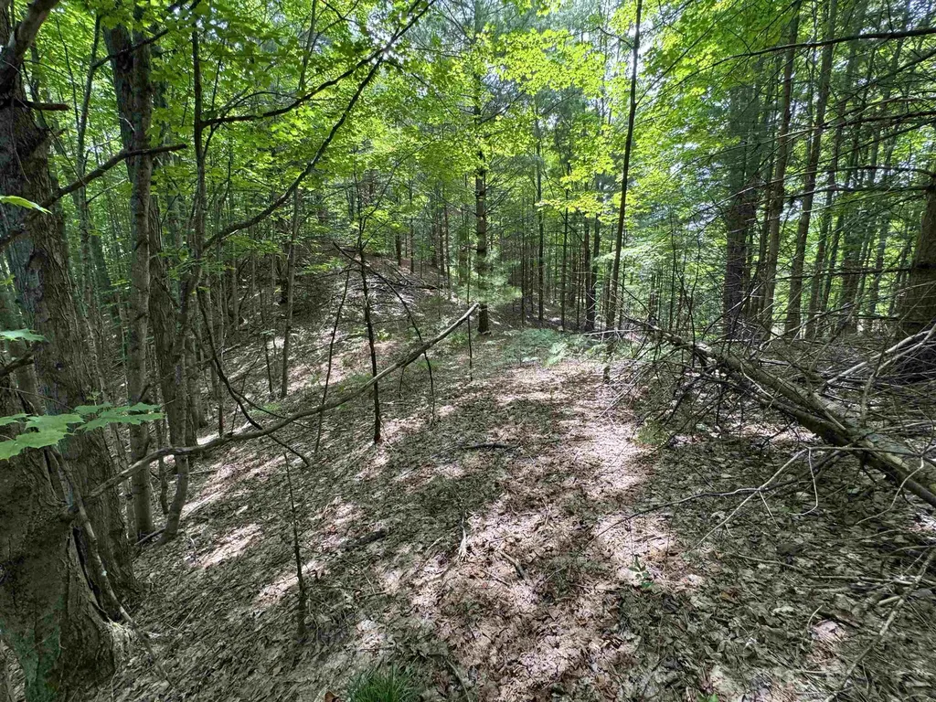 Lot #5 E Bellinger Road Kasson Township MI 49621