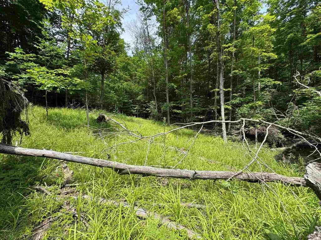 Lot #5 E Bellinger Road Kasson Township MI 49621
