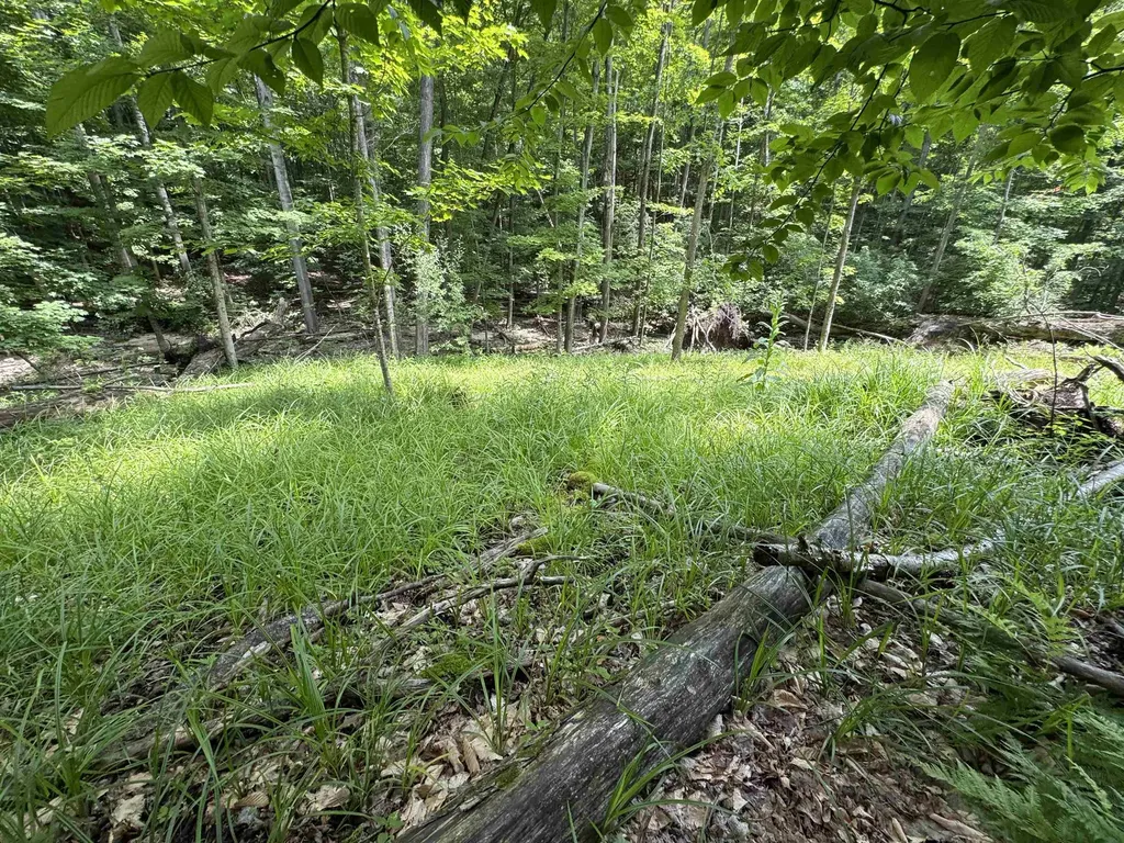 Lot #5 E Bellinger Road Kasson Township MI 49621