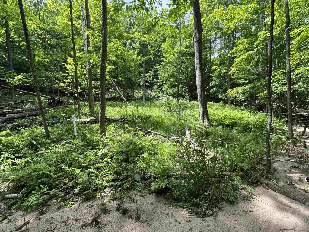 Lot #5 E Bellinger Road Kasson Township MI 49621
