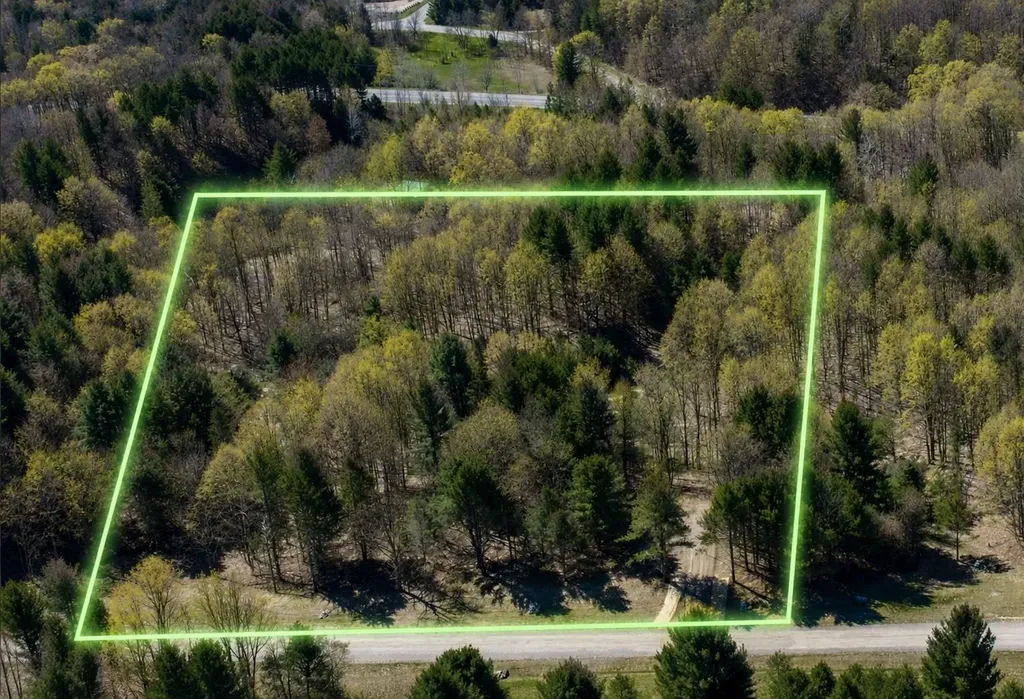 Lot #4 E Bellinger Road Kasson Township MI 49621