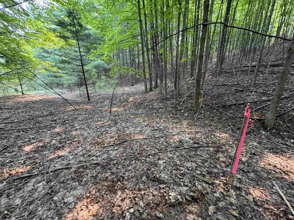 Lot #4 E Bellinger Road Kasson Township MI 49621