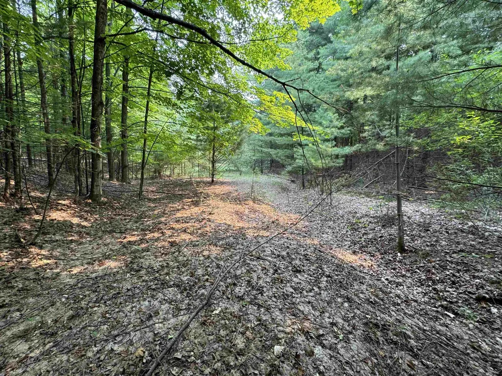 Lot #4 E Bellinger Road Kasson Township MI 49621