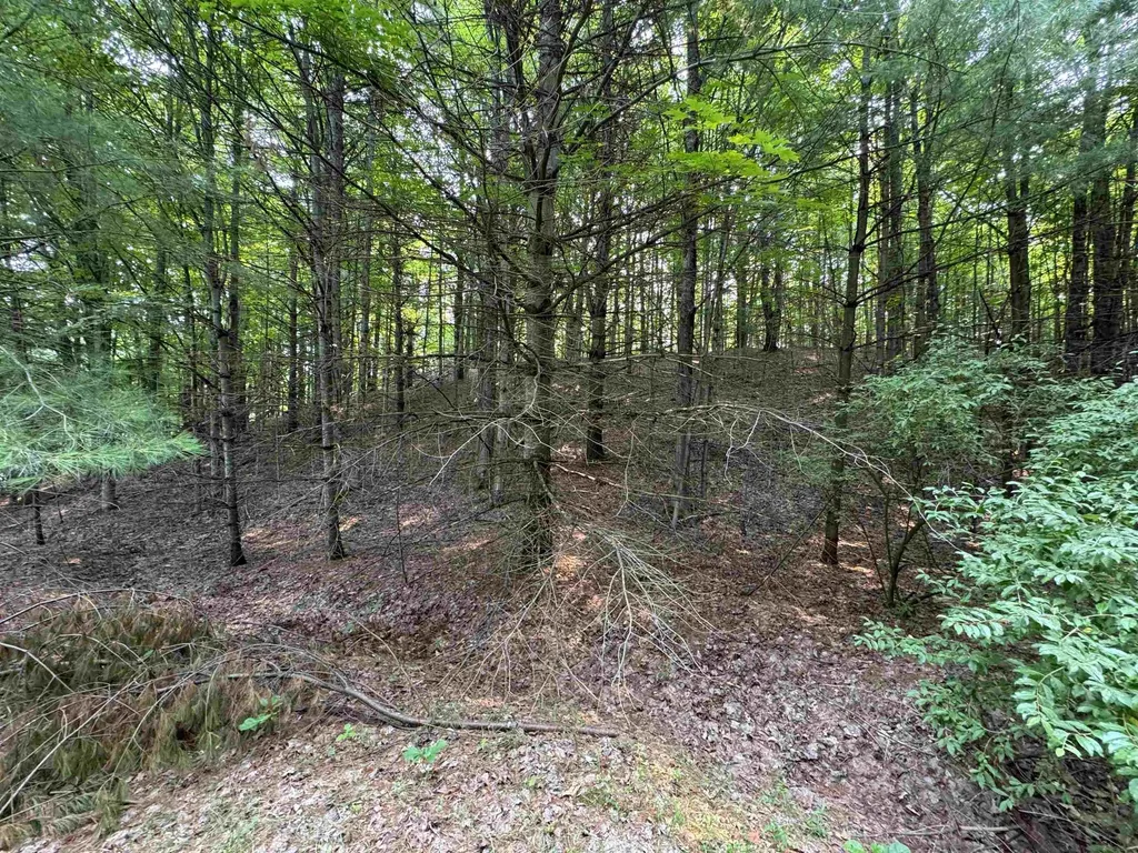 Lot #4 E Bellinger Road Kasson Township MI 49621