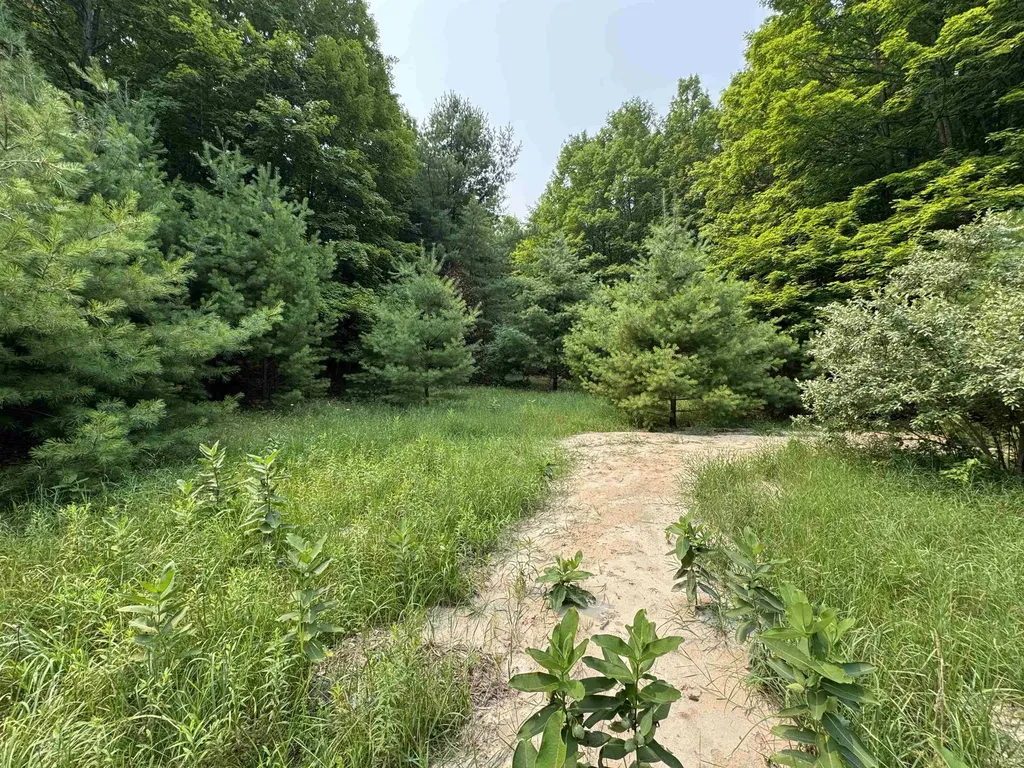 Lot #4 E Bellinger Road Kasson Township MI 49621