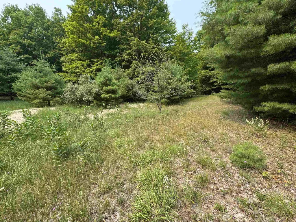 Lot #4 E Bellinger Road Kasson Township MI 49621