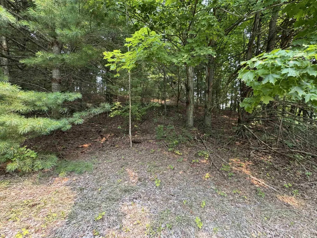 Lot #4 E Bellinger Road Kasson Township MI 49621
