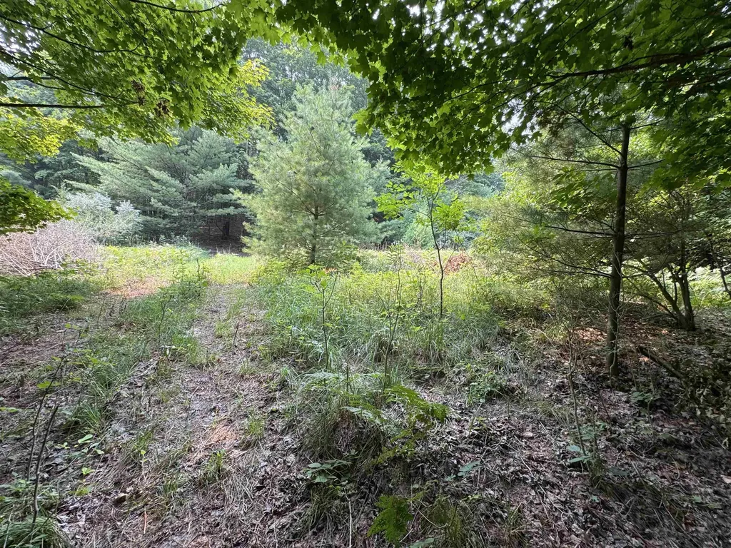 Lot #4 E Bellinger Road Kasson Township MI 49621