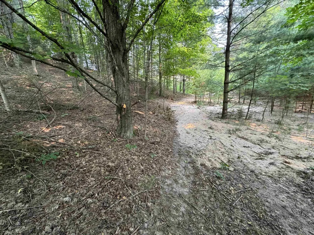 Lot #4 E Bellinger Road Kasson Township MI 49621