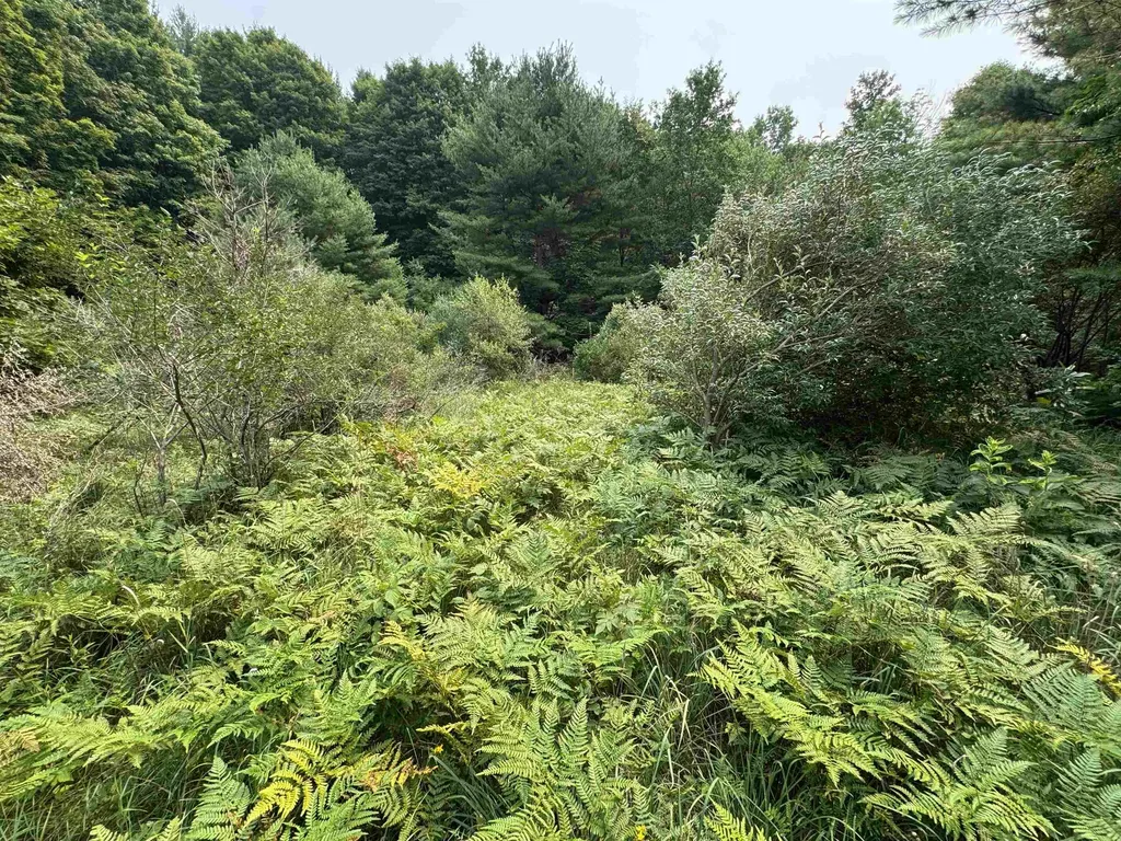 Lot #4 E Bellinger Road Kasson Township MI 49621