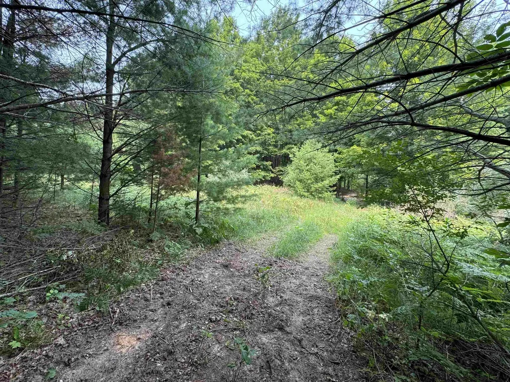 Lot #4 E Bellinger Road Kasson Township MI 49621