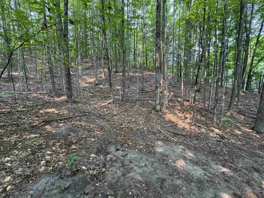 Lot #4 E Bellinger Road Kasson Township MI 49621