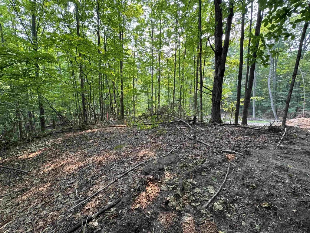 Lot #4 E Bellinger Road Kasson Township MI 49621