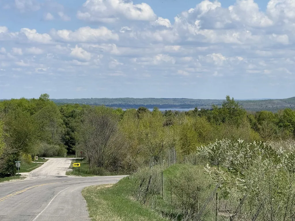 Lot #4 E Bellinger Road Kasson Township MI 49621
