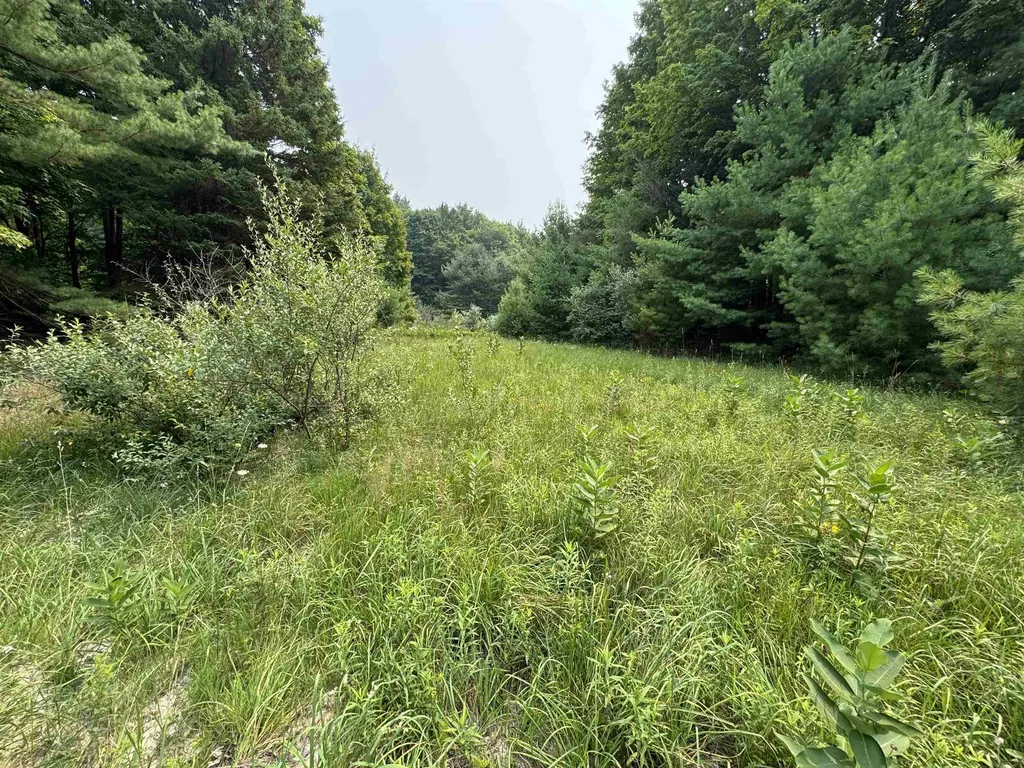 Lot #4 E Bellinger Road Kasson Township MI 49621