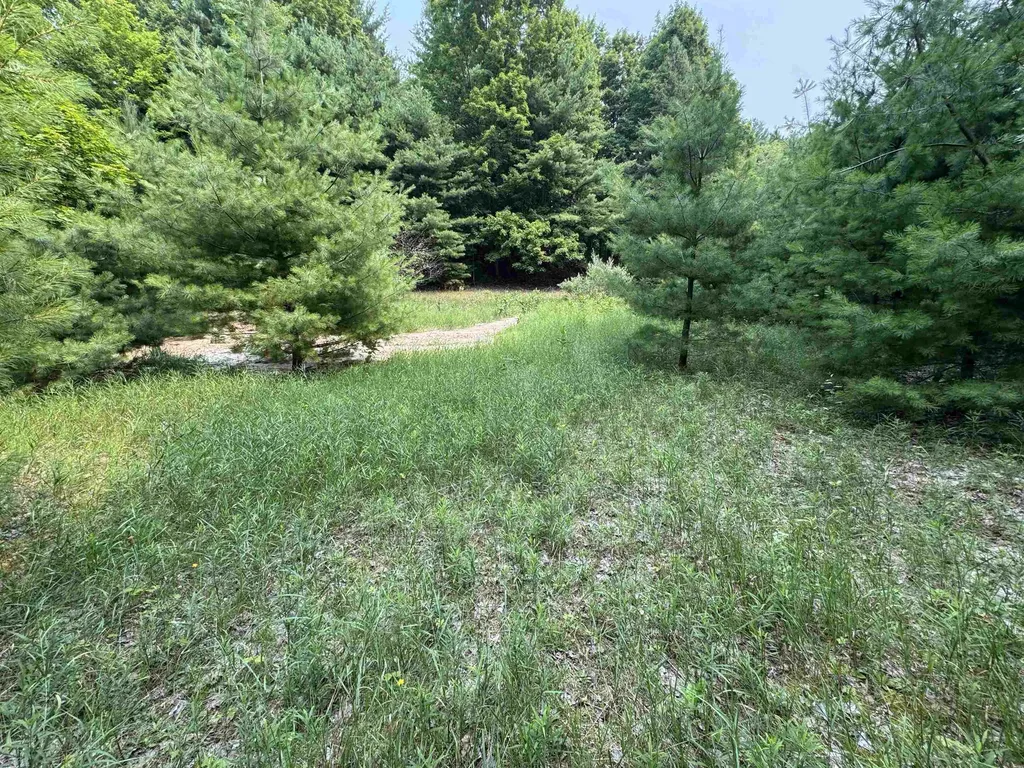 Lot #4 E Bellinger Road Kasson Township MI 49621
