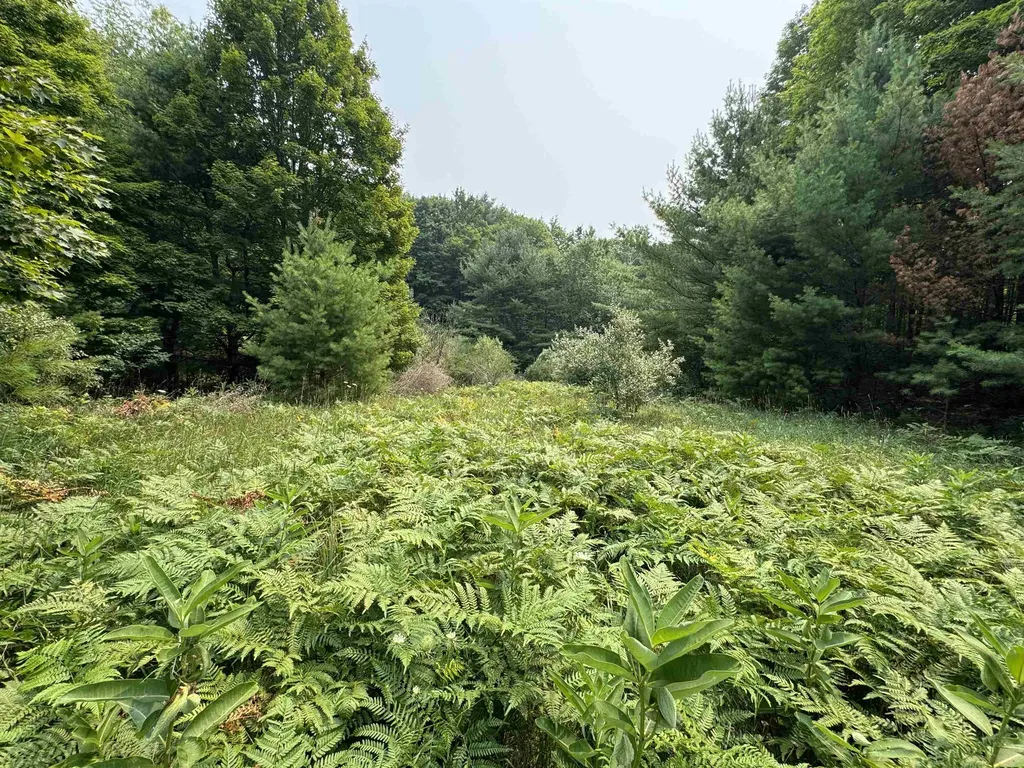 Lot #4 E Bellinger Road Kasson Township MI 49621
