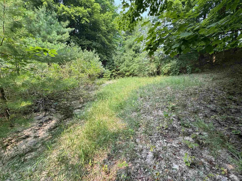 Lot #4 E Bellinger Road Kasson Township MI 49621