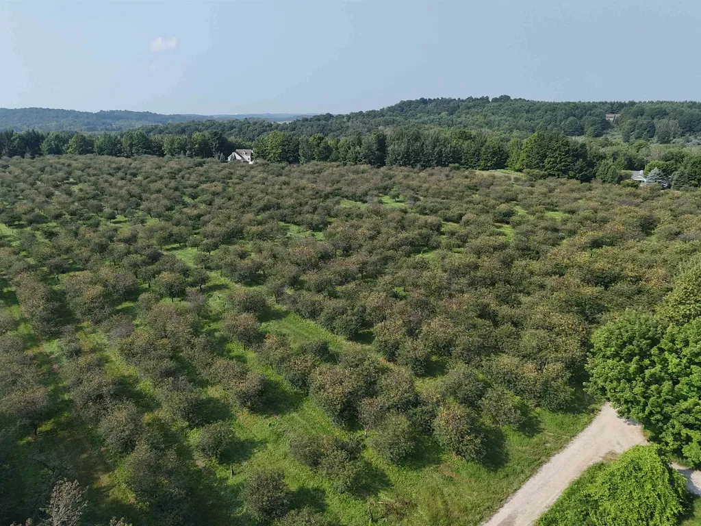 00 E Tatch Road Leelanau Township MI 49670