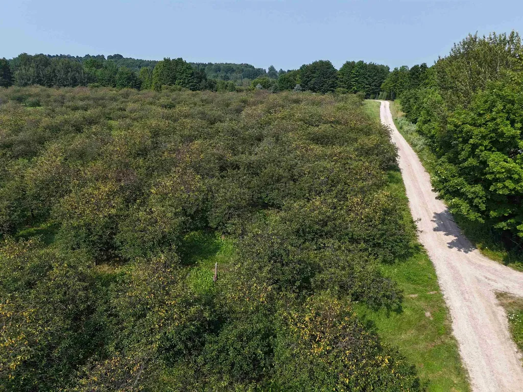 00 E Tatch Road Leelanau Township MI 49670