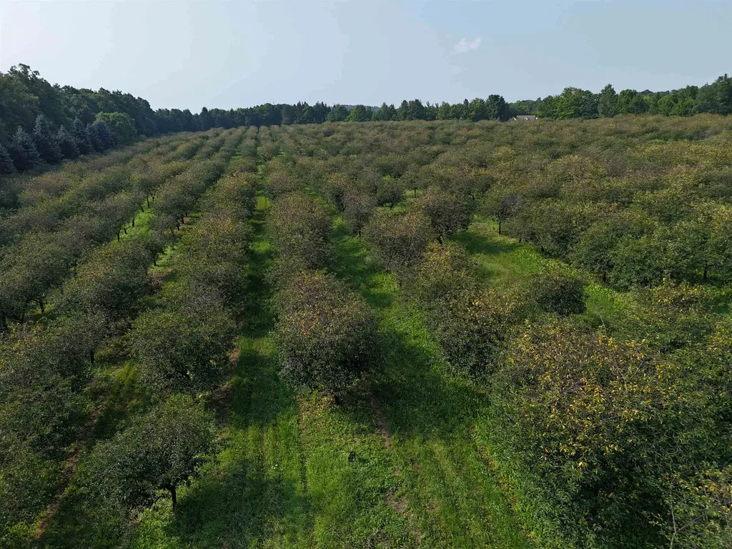 00 E Tatch Road Leelanau Township MI 49670
