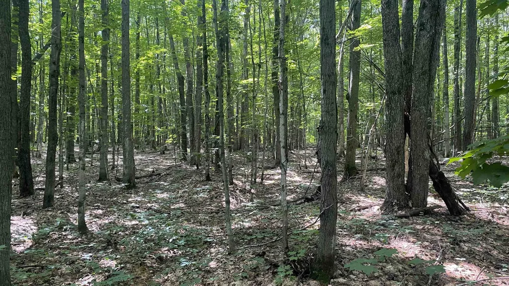 Lot 437 Northwood Drive Hayes Township MI 49730