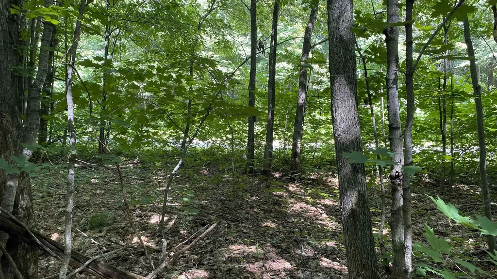 Lot 437 Northwood Drive Hayes Township MI 49730
