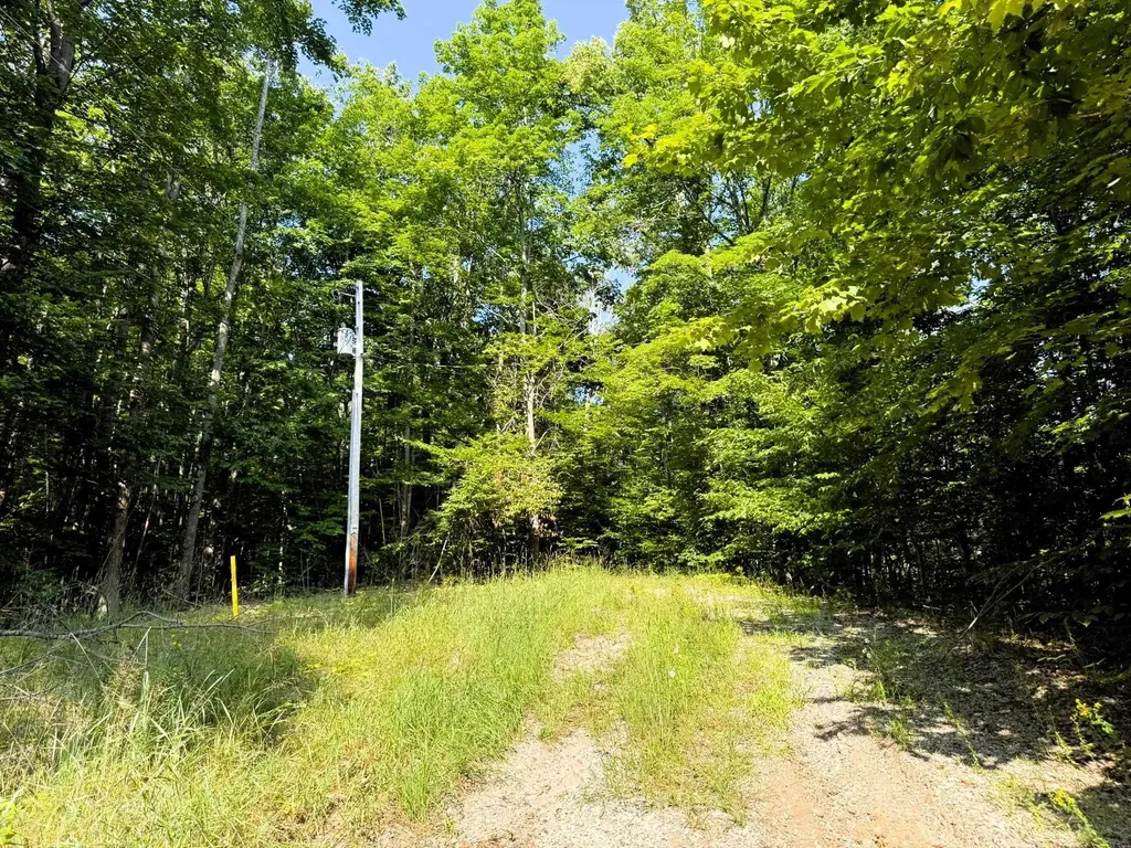 13218 NE Heller Court Blue Lake Township MI 49646