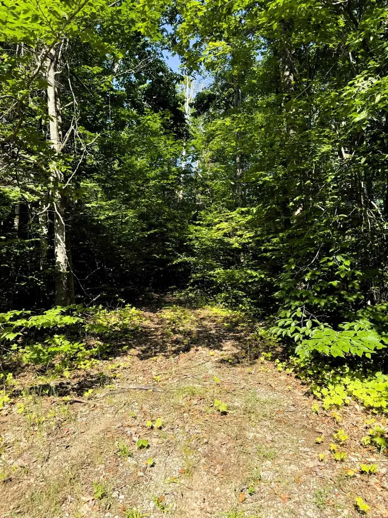 13218 NE Heller Court Blue Lake Township MI 49646