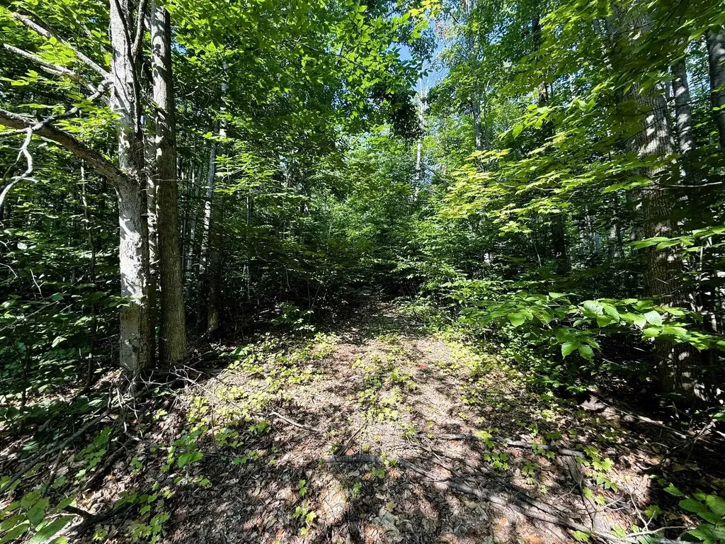 13218 NE Heller Court Blue Lake Township MI 49646