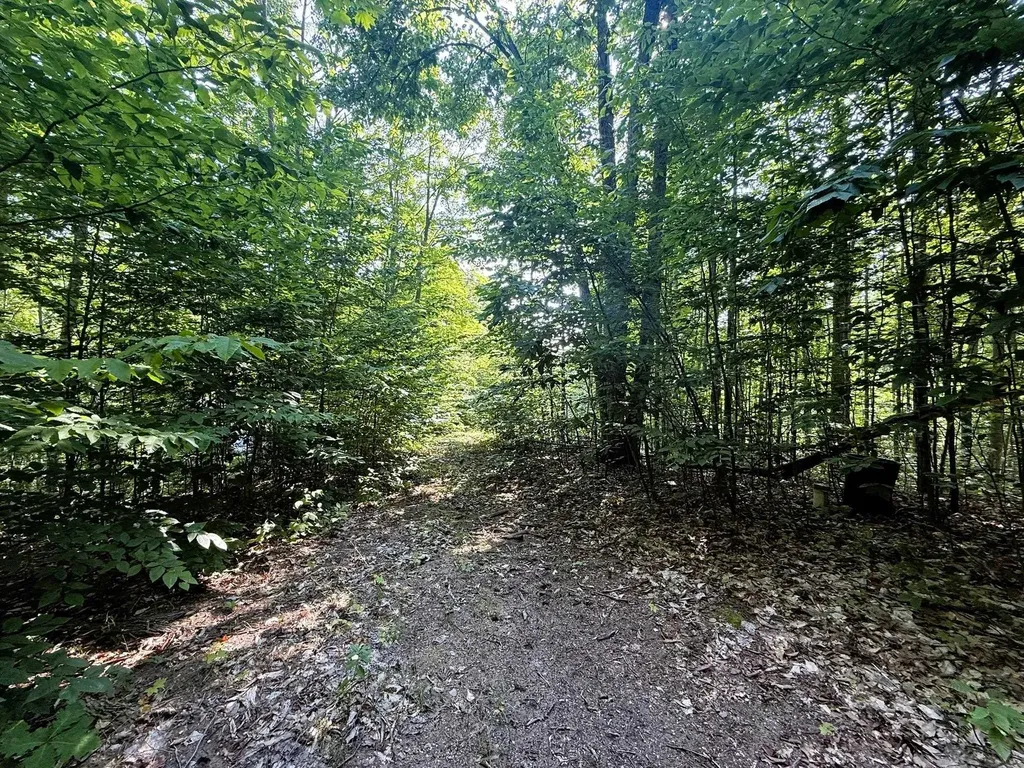 13218 NE Heller Court Blue Lake Township MI 49646
