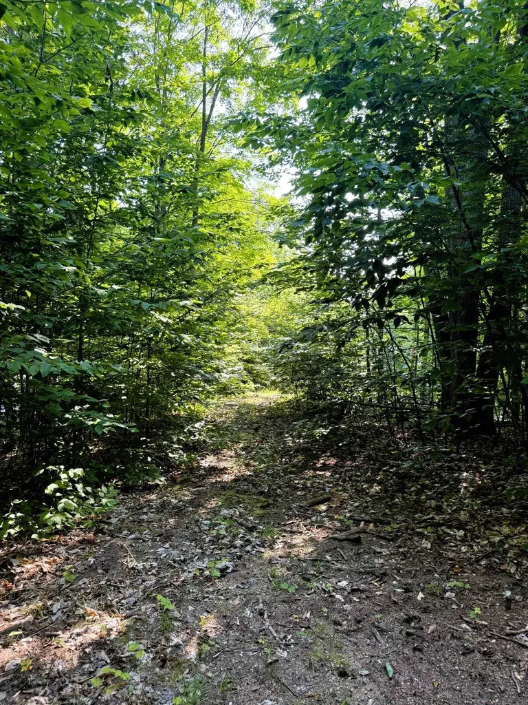 13218 NE Heller Court Blue Lake Township MI 49646