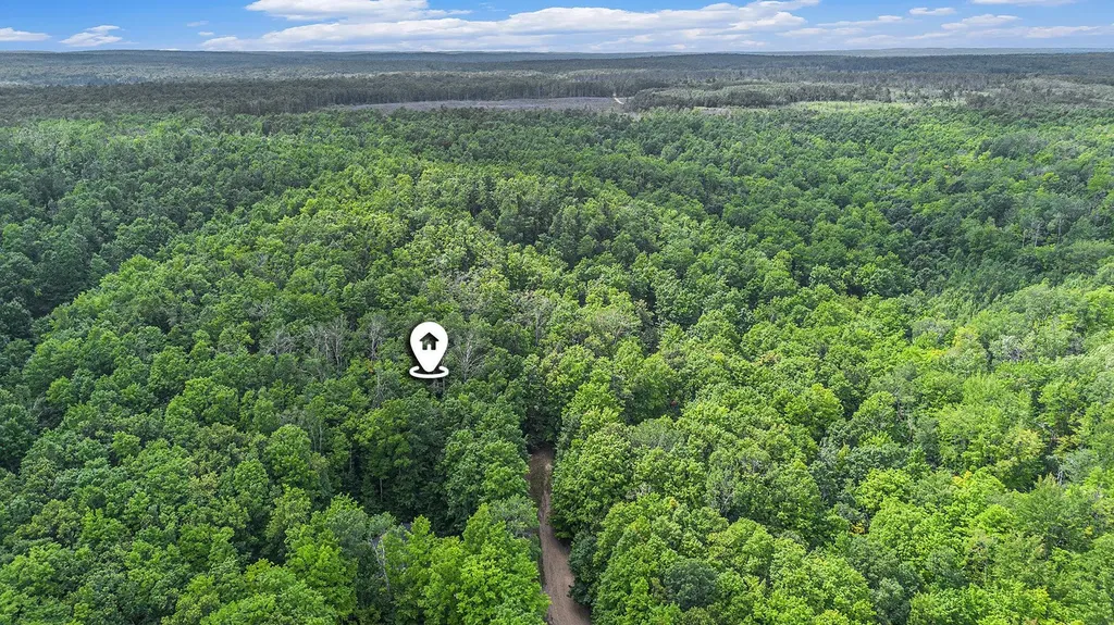 13218 NE Heller Court Blue Lake Township MI 49646