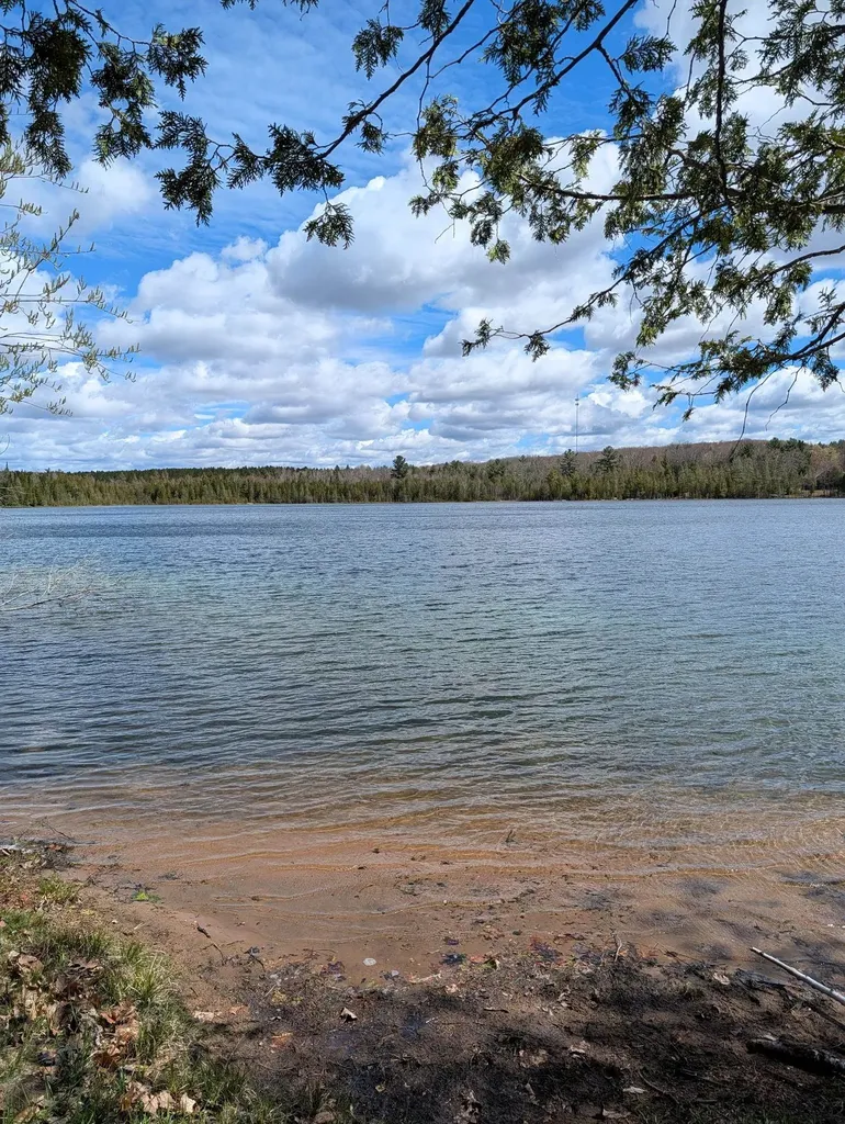 13218 NE Heller Court Blue Lake Township MI 49646