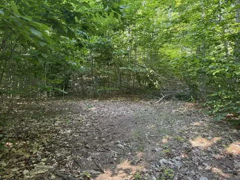 13218 NE Heller Court Blue Lake Township MI 49646