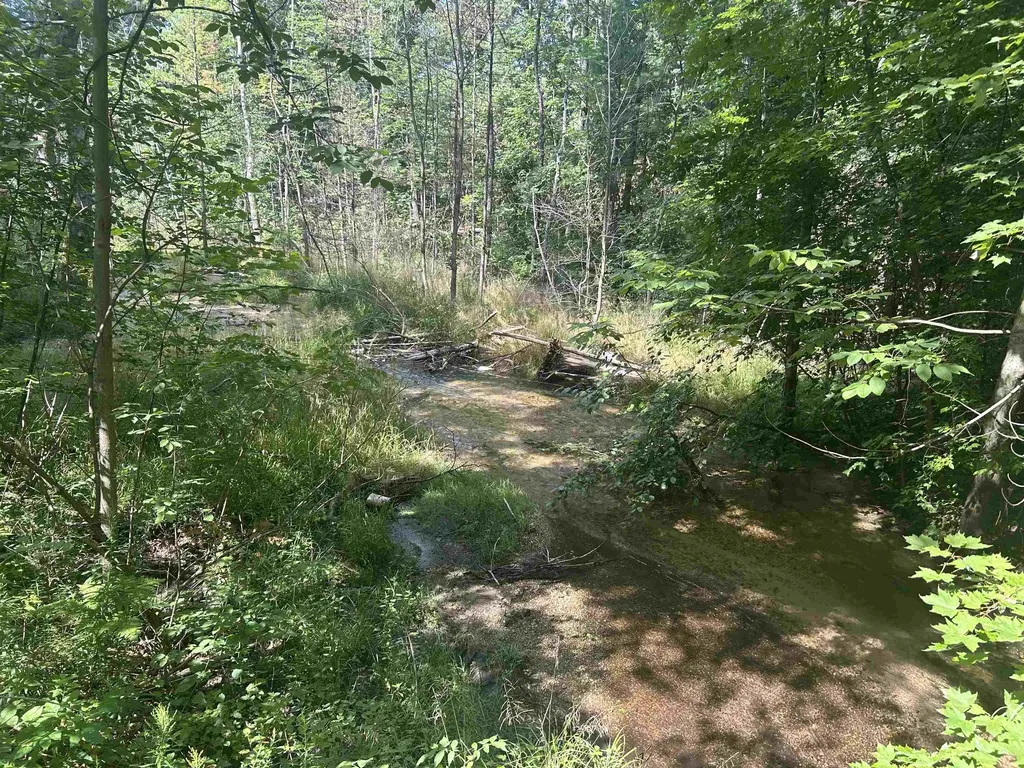 Parcel 2 S M-88 Custer Township MI 49615