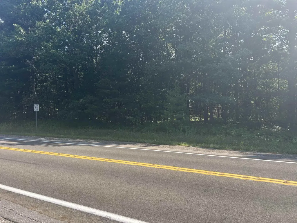 Parcel 2 S M-88 Custer Township MI 49615