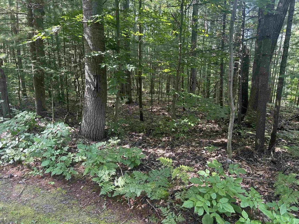Parcel 2 S M-88 Custer Township MI 49615