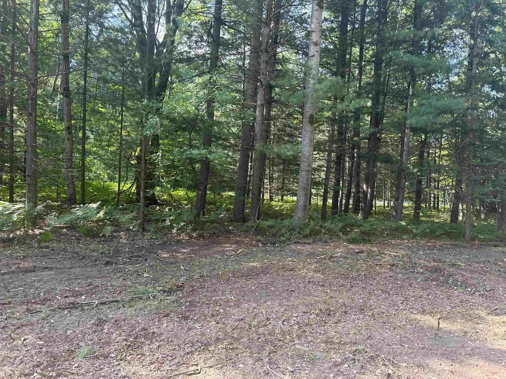 Parcel 2 S M-88 Custer Township MI 49615
