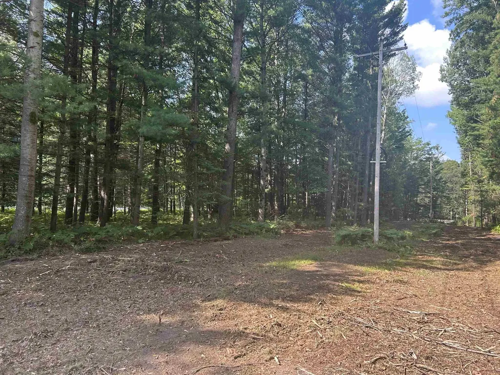 Parcel 2 S M-88 Custer Township MI 49615