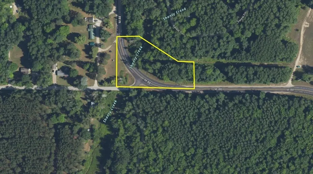 Parcel 2 S M-88 Custer Township MI 49615