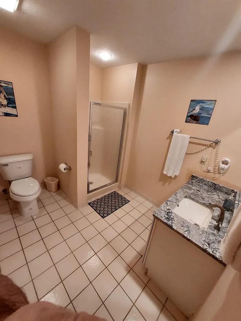 6493 Deer Path Custer Township MI 49615