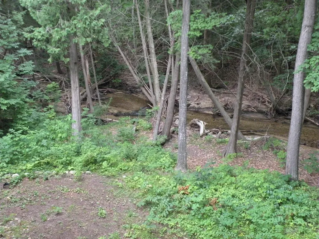 6493 Deer Path Custer Township MI 49615