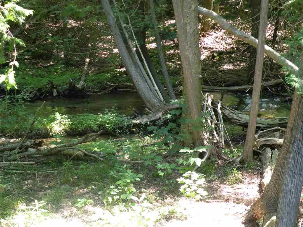 6493 Deer Path Custer Township MI 49615