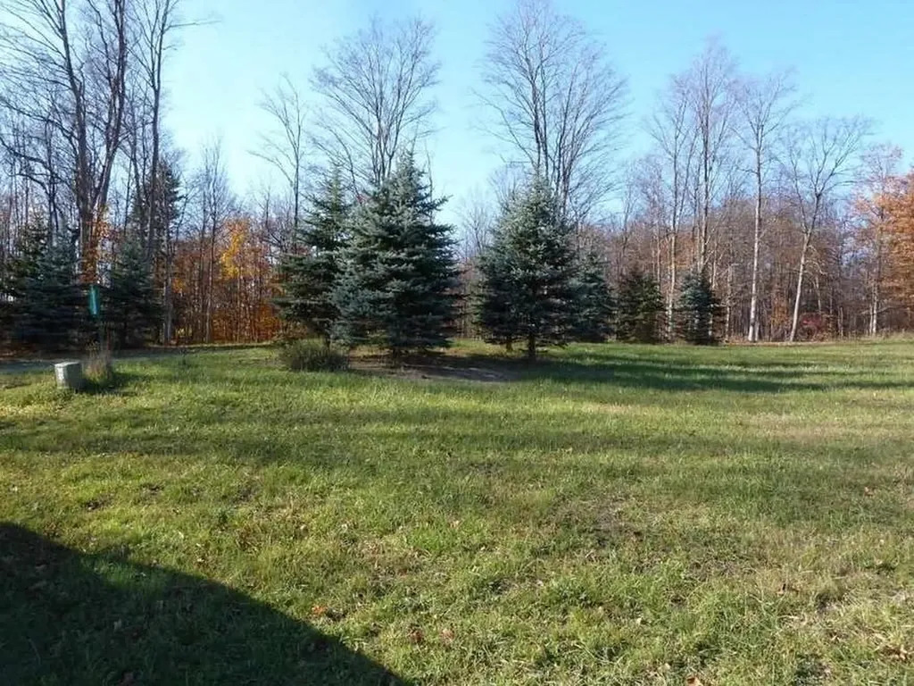 ***** Horseshoe Trail Bay Township MI 49770