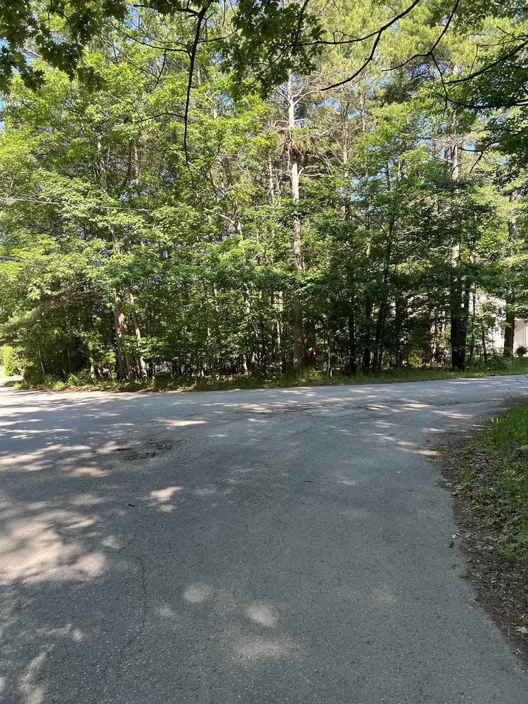 Lot 12 E Juniper Trail Leland Township MI 49654