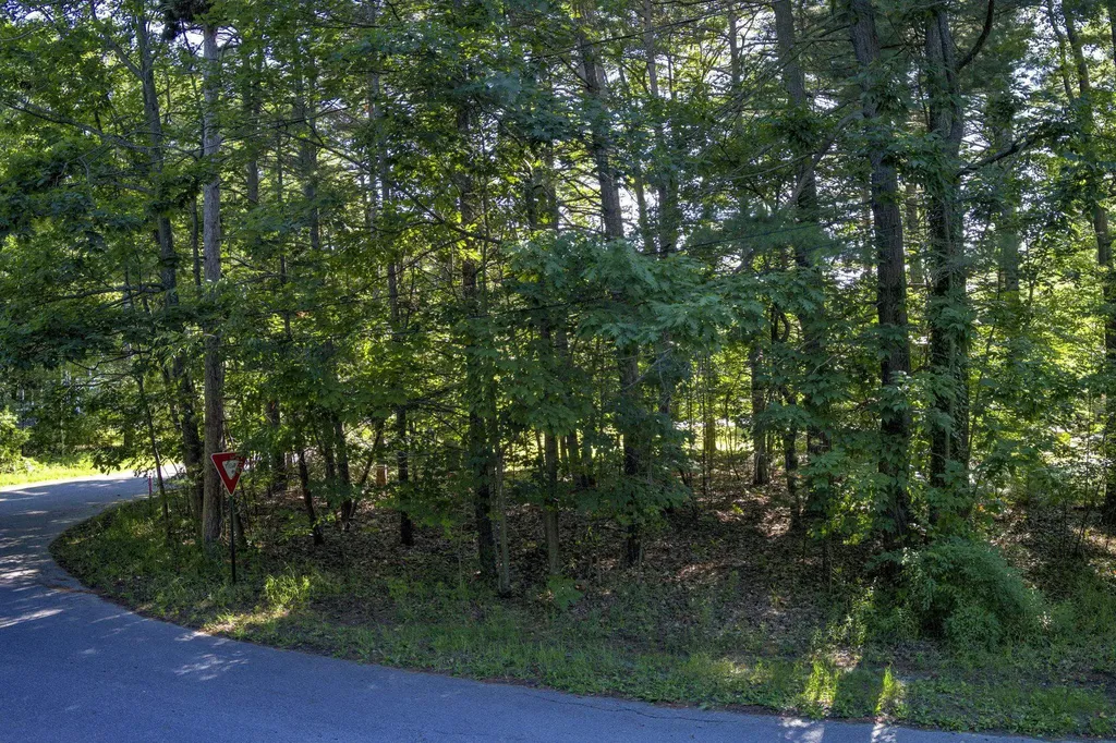 Lot 12 E Juniper Trail Leland Township MI 49654