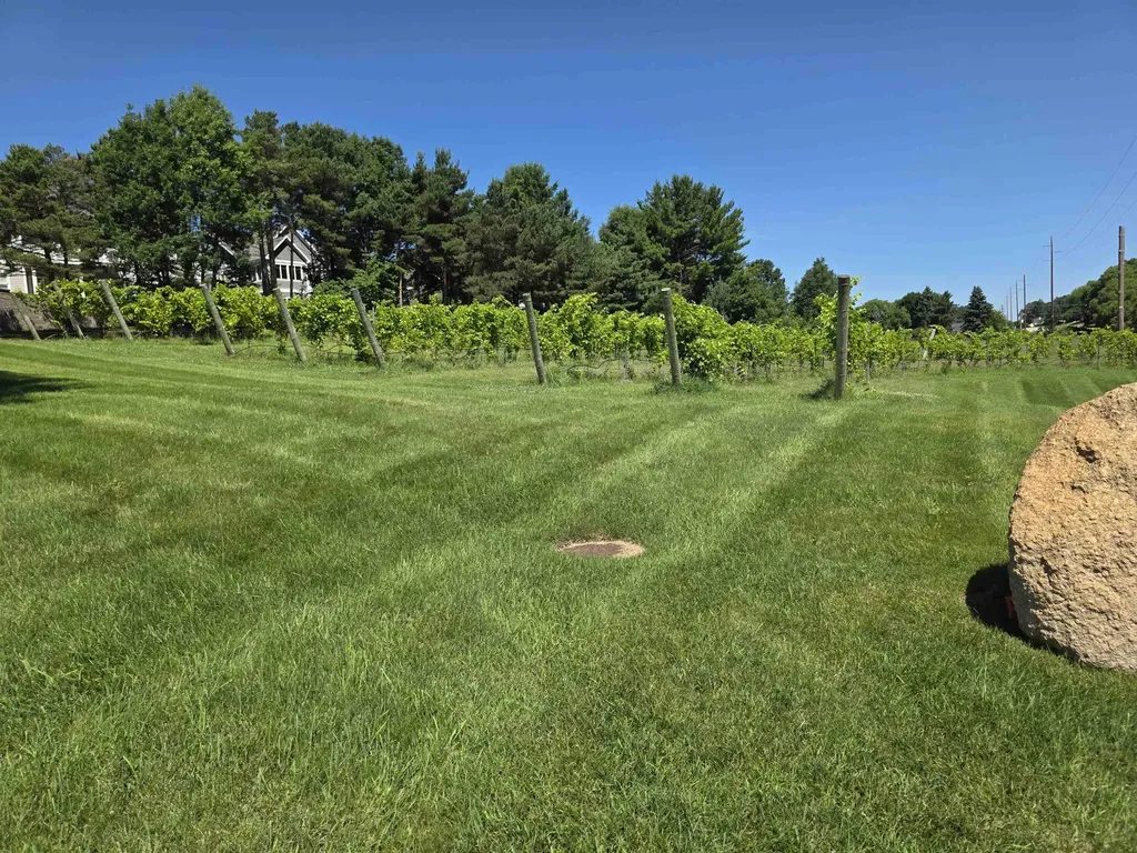 176 Vineyard Ridge Drive Peninsula Township MI 49686