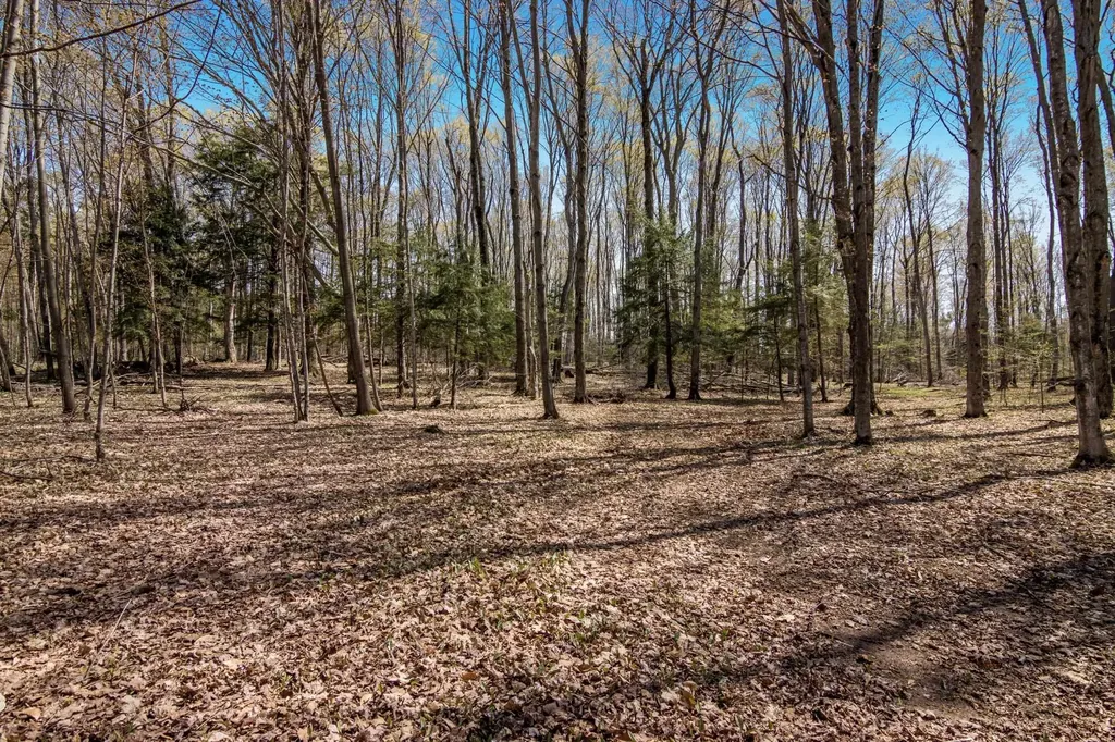 03 Woodland Trail Almira Township MI 49684