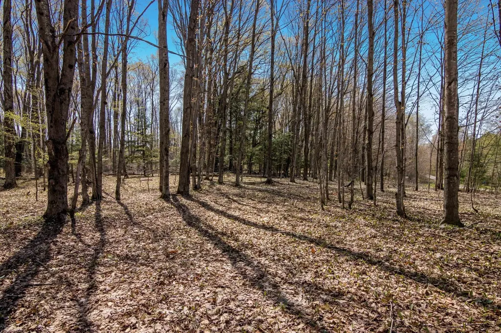 03 Woodland Trail Almira Township MI 49684